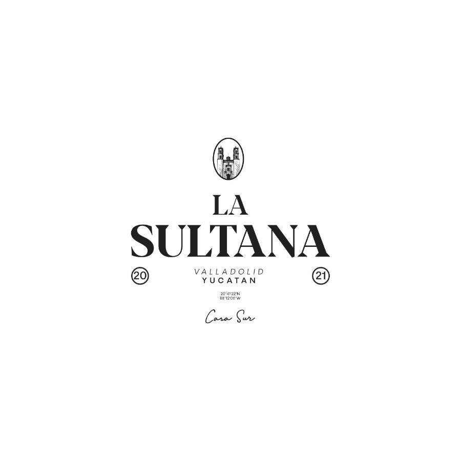 La Sultana Amazing New House With Pool Villa Valladolid  Ngoại thất bức ảnh