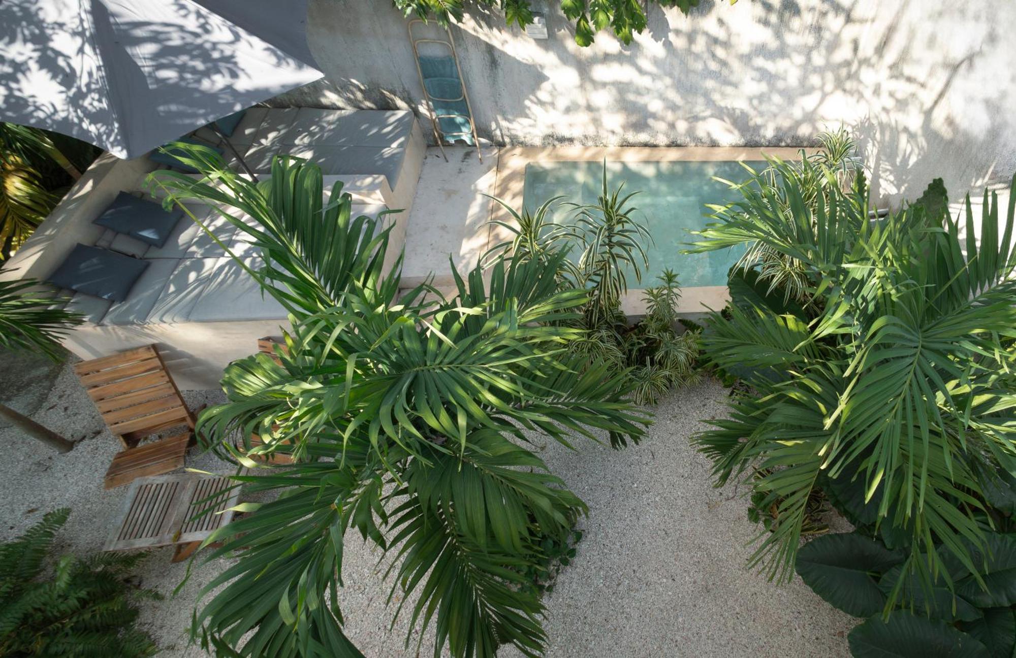 La Sultana Amazing New House With Pool Villa Valladolid  Ngoại thất bức ảnh