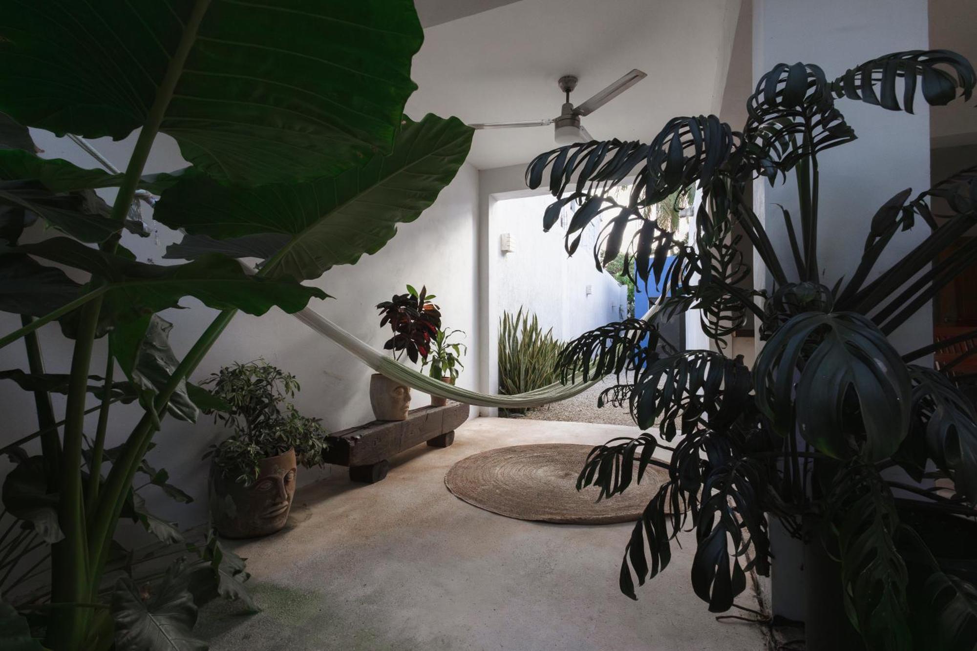 La Sultana Amazing New House With Pool Villa Valladolid  Ngoại thất bức ảnh